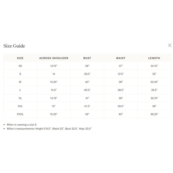 TUCKERNUCK BEACH Blanc Shell Embroidered Mini Terrycloth Dress Coverup XL NWT - Picture 3 of 7